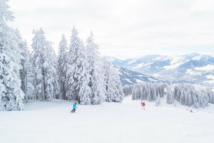 Two skiers descend a snowy mountain slope surrounded by trees.